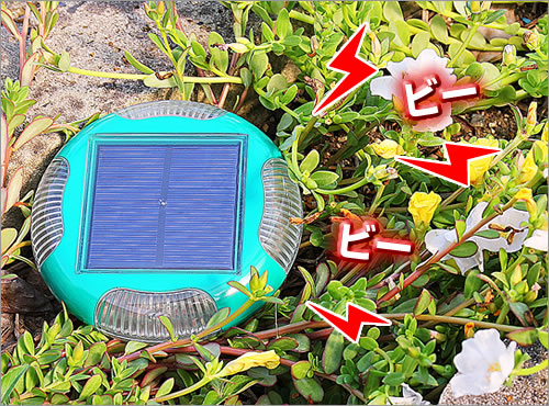 太陽能充電聲波式+紅光閃光驅地鼠/驅夜行動物器